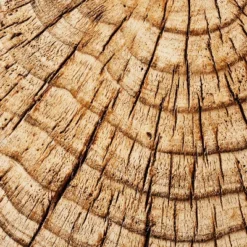 Indoor/Outdoor Faux Concrete Stump Accent Table Brown - Threshold™ Designed With Studio McGee 11 Indoor/Outdoor Faux Concrete Stump Accent Table Brown - Threshold™ Designed With Studio McGee -Bedroom Furniture Store GUEST 03deabfd 2b62 4725 94b4 09a321ea8678